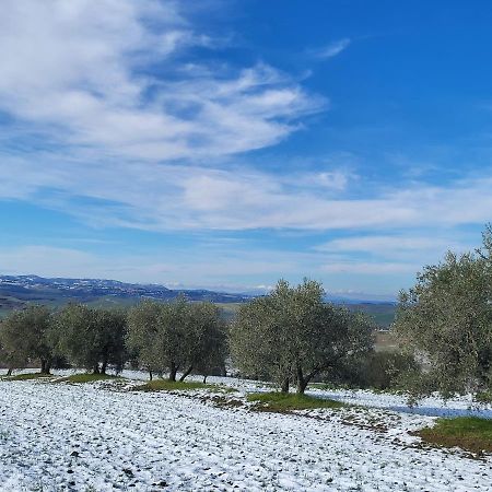 Dimora In Francigena 호텔 산퀴리코도르시아 외부 사진